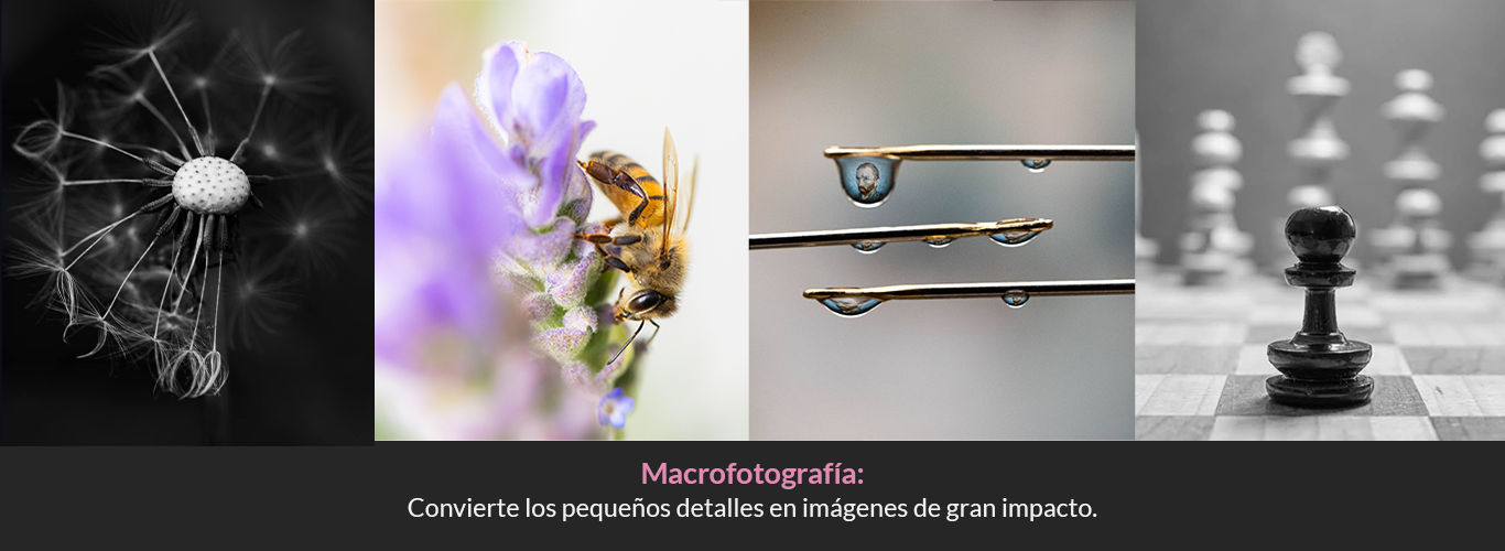 Fotografía macro