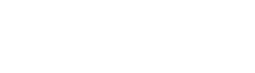 logo ana elena